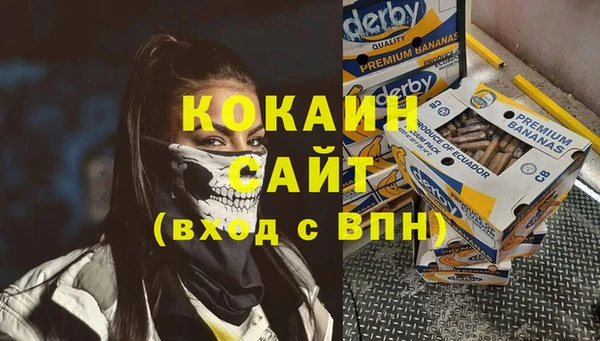 стафф Алзамай