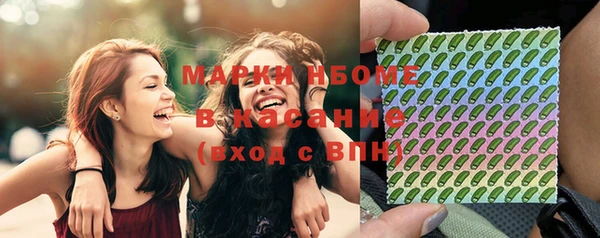 стафф Алзамай