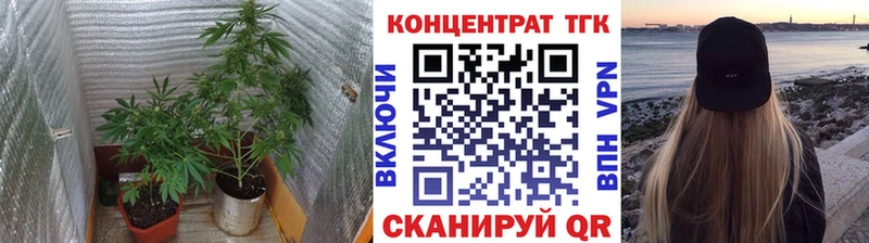 площадка формула  Ирбит  Дистиллят ТГК Wax 