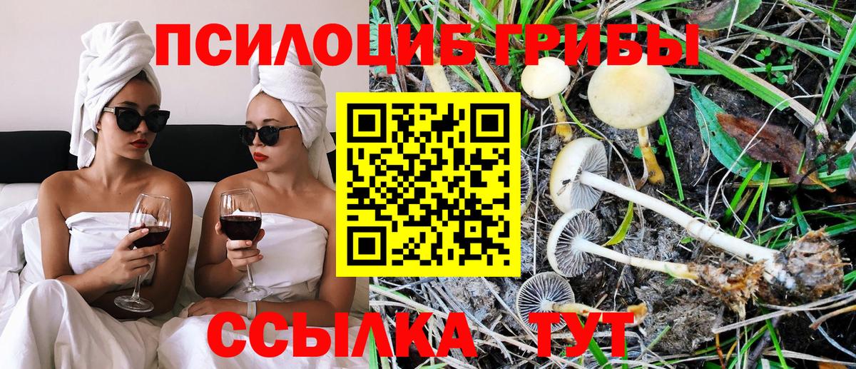 Галлюциногенные грибы мухоморы Ирбит